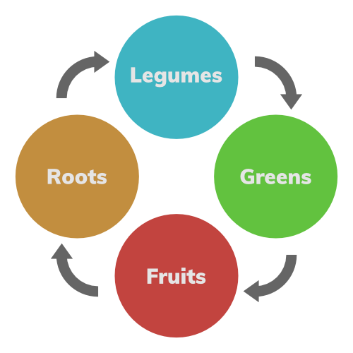 A chart showing to grow legumes, greens, fruits, and roots in that order for crop rotation