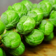 Brussels Sprouts